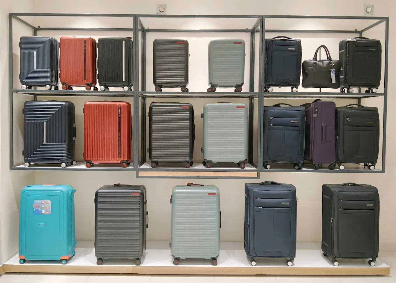 American Tourister & Samsonite